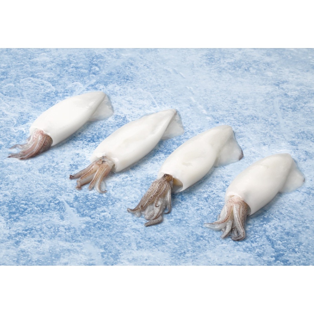 Calamar 3p nacional t