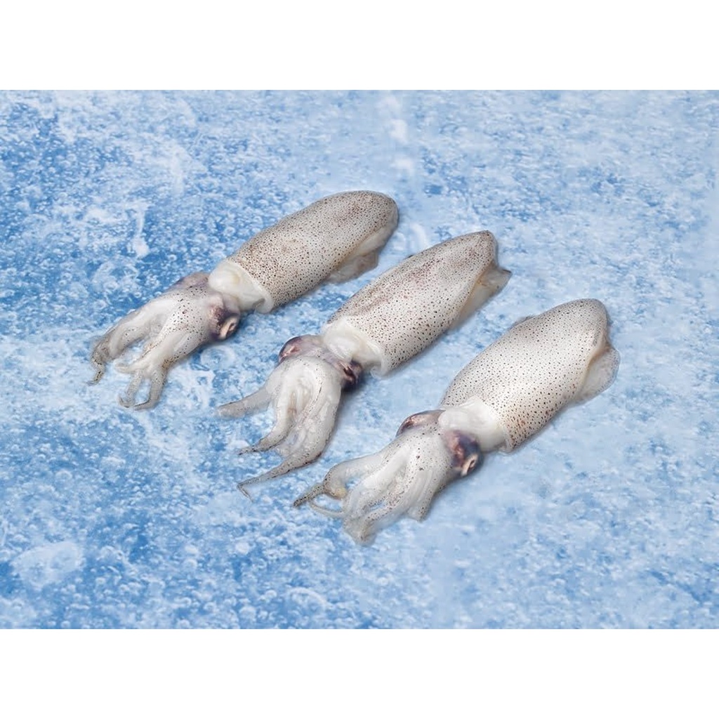 Puntilla india especial