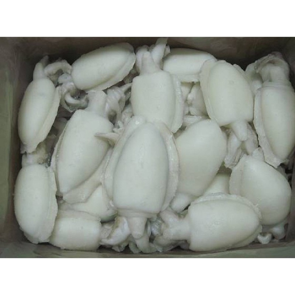 Choco limpio 100/200