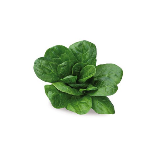 Espinacas hoja en porciones