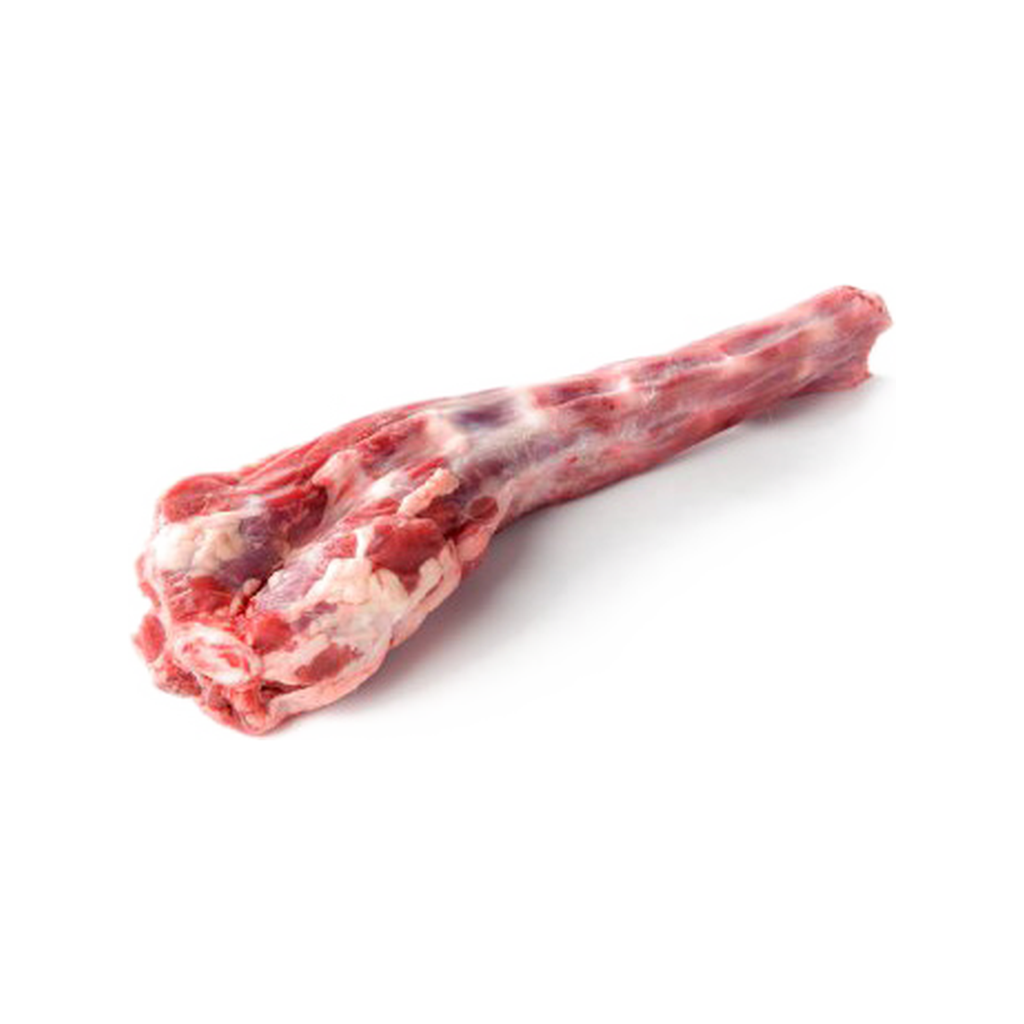 RABO DE TORO