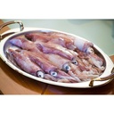 Calamar 4 patag. desmoronado