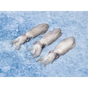 Puntilla india especial