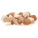 Mixto setas-champiñones